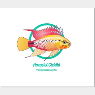 Hongsloi Cichlid Posters and Art